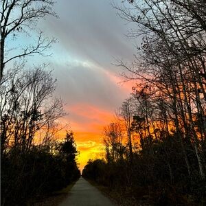 Meet your Posher, Summer